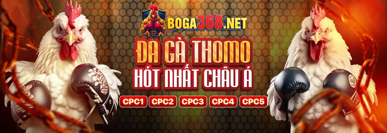 Hình ảnh giới thiệu ball8 link mới - Nền tảng cá cược trực tuyến hàng đầu